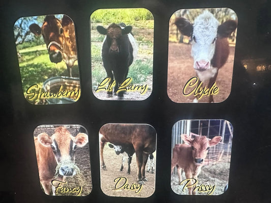 Custom Magnet - UV Printed