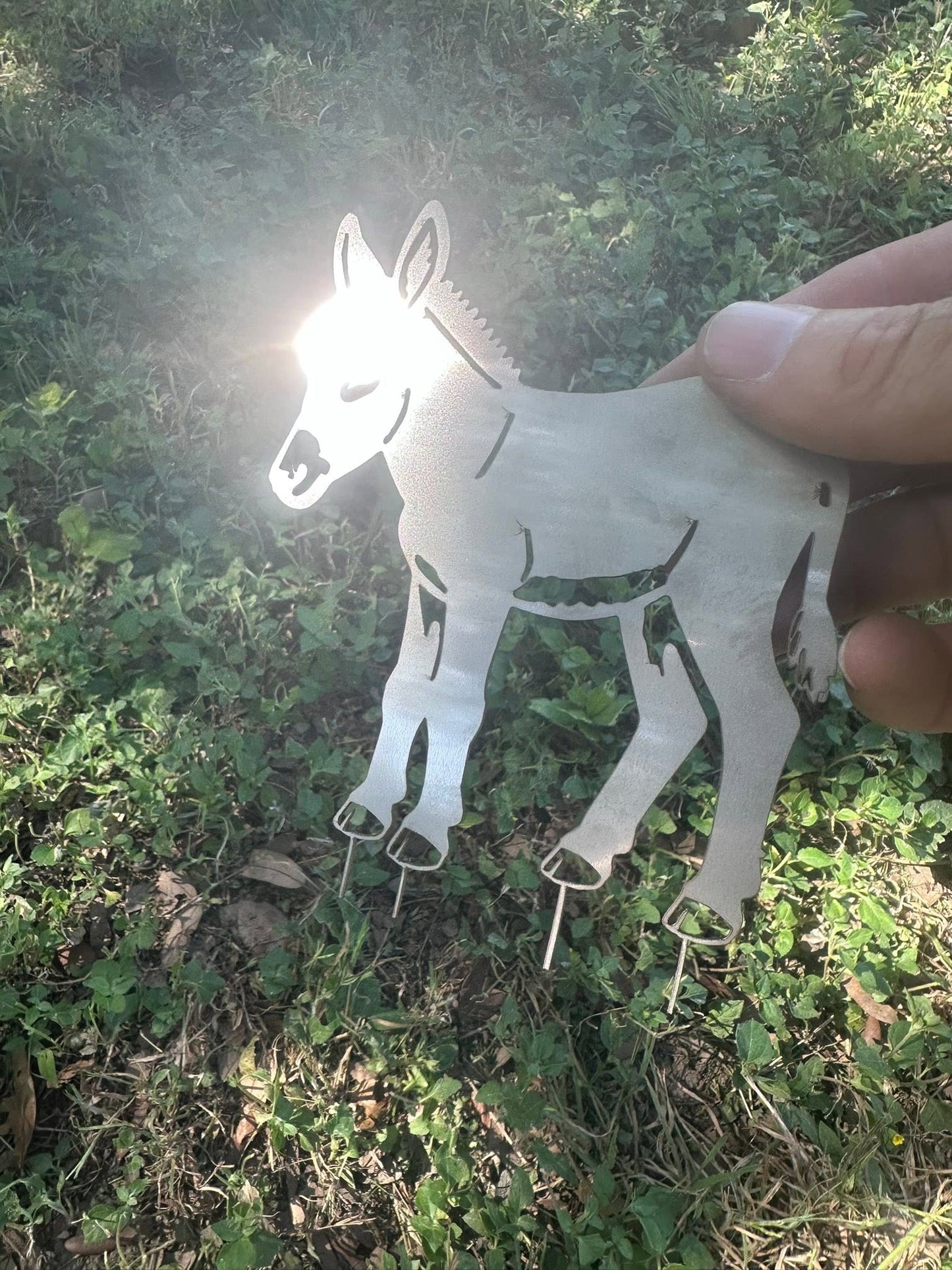 Stainless Steel cutout - Donkey